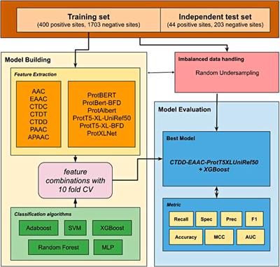 ProtTrans-Glutar: Incorporating Features From Pre-trained Transformer-Based Models for Predicting Glutarylation Sites